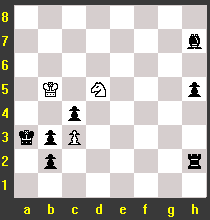 chessf20.gif (2835 octets)