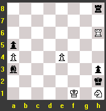 chessf21.gif (2944 octets)
